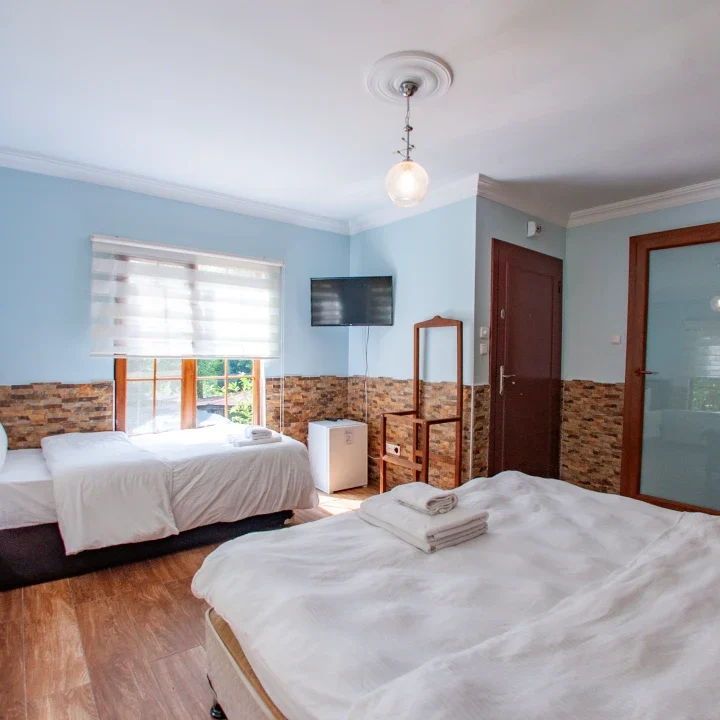 yeni-deluxe-bungalov (2)